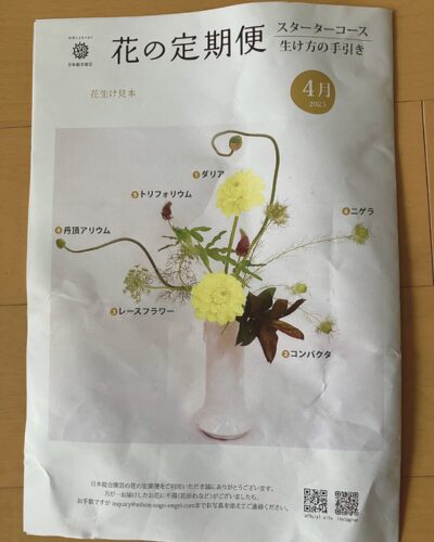 日本総合園芸の花の定期便スターターコースに同封されていた生け方の手引き