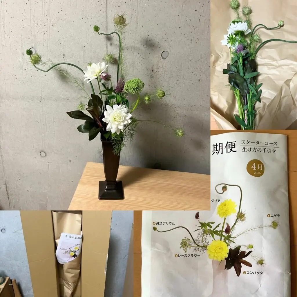 日本総合園芸の「花の定期便」スターターコースをレビュー｜初心者でも
