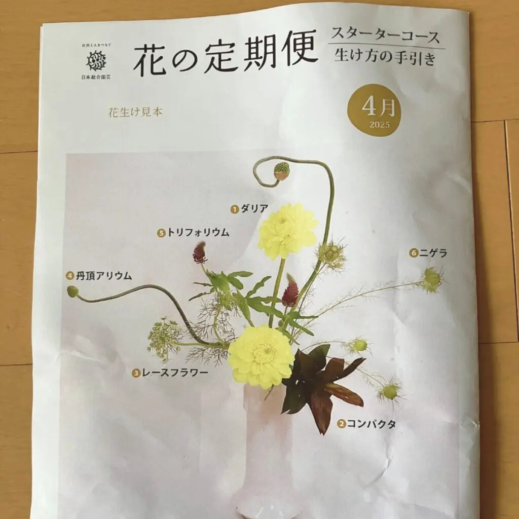 日本総合園芸の「花の定期便」スターターコースをレビュー｜初心者でも
