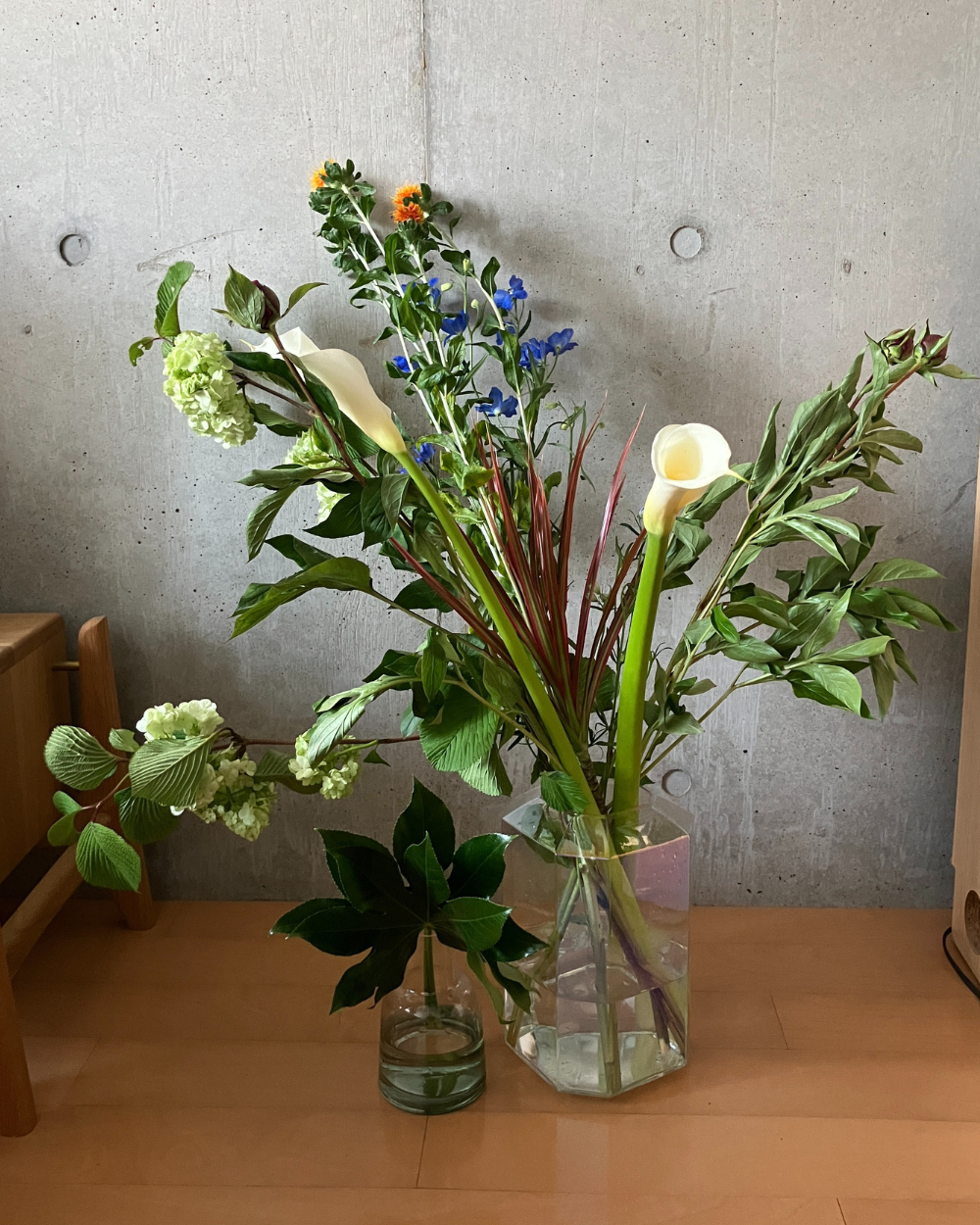 日本総合園芸から届いたときの状態
