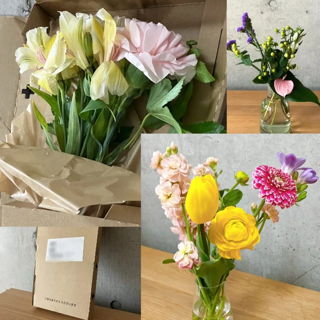 タスハナ（＋hana）の花の定期便をレビュー。月額1000円以下で始め