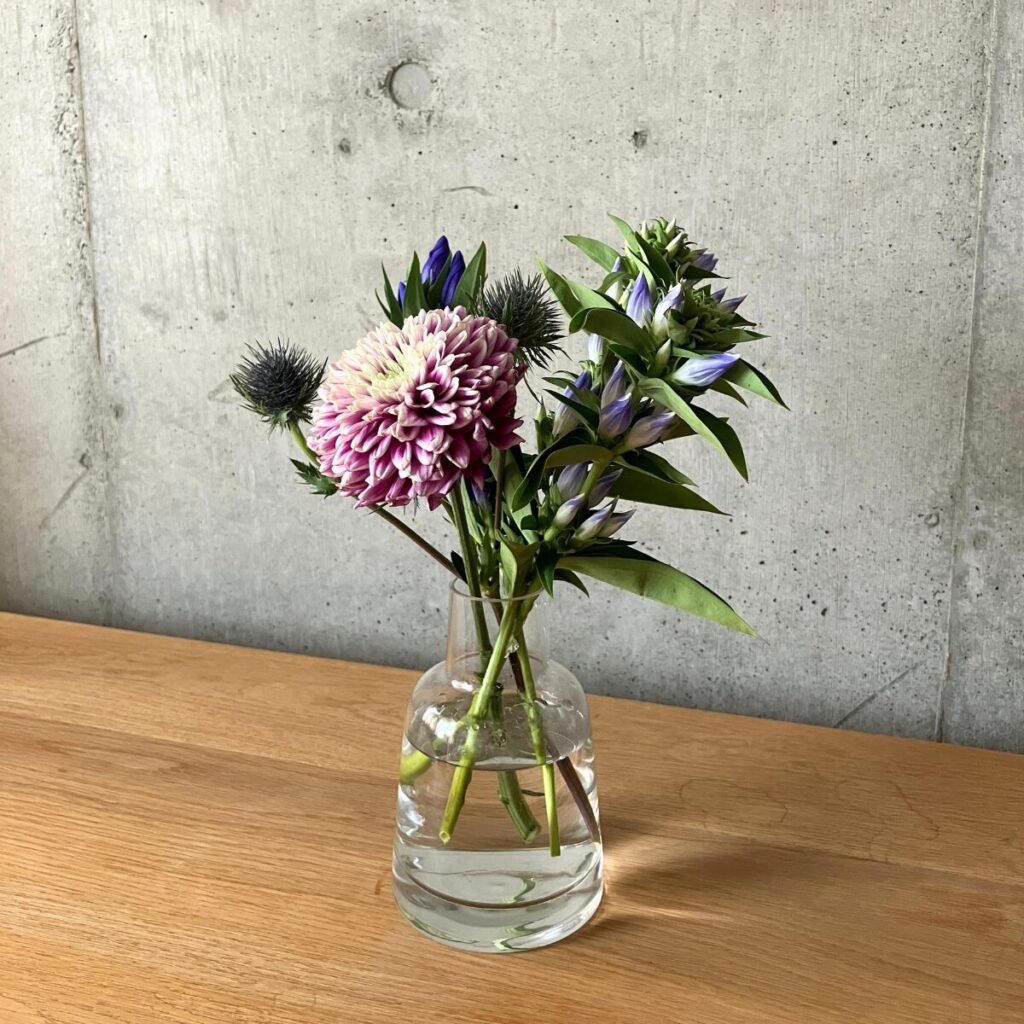 花サブスクのHitoHanaから実際に届いたお花。ｶﾗｰはﾌﾞﾙｰ&ﾊﾟｰﾌﾟﾙ、ﾎﾞﾘｭｰﾑS。ﾘﾝﾄﾞｳやﾏﾑなど