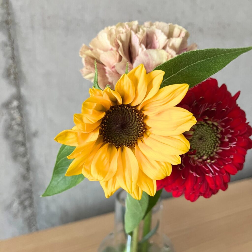 花の定期便＋hana（タスハナ）の+ act for flowersプランで届いたお花ガーベラ、ひまわり、カーネーションの計3本のアップ写真