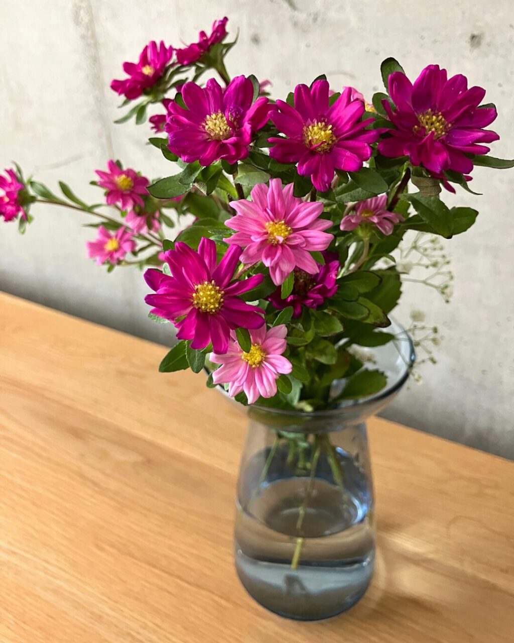 AQUA CULTURE VASEのサイズLのブルーにピンクのアスターを生けた様子