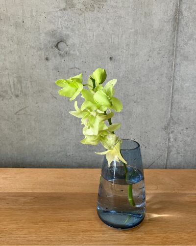 medeluのANYROOMコースのボリュームBasicのデンファレを青の透明ガラス花瓶に生けた様子