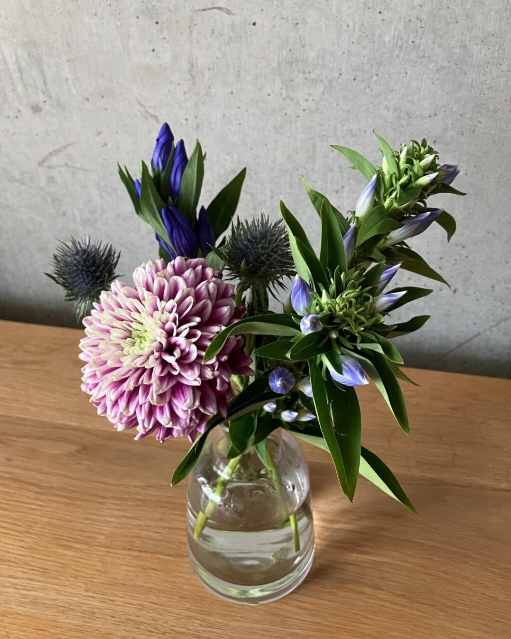 花サブスクのHitoHanaから実際に届いたお花。ｶﾗｰはﾌﾞﾙｰ&ﾊﾟｰﾌﾟﾙ、ﾎﾞﾘｭｰﾑS。ﾘﾝﾄﾞｳやﾏﾑなど