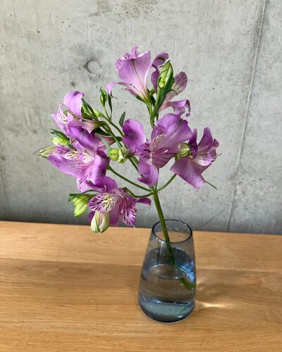 medeluのANYROOMコースのボリュームBasicのアルストロメリアを青の透明ガラス花瓶に生けた様子