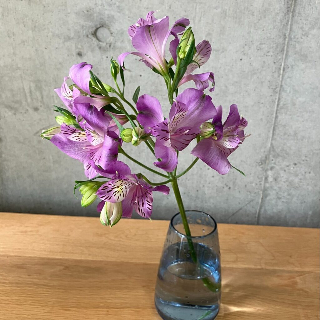 medeluのANYROOMコースのボリュームBasicのアルストロメリアを青の透明ガラス花瓶に生けた様子