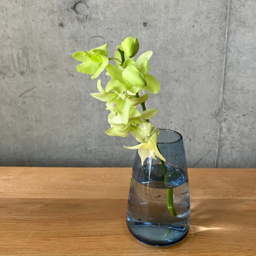 medeluのANYROOMコースのボリュームBasicのデンファレを青の透明ガラス花瓶に生けた様子