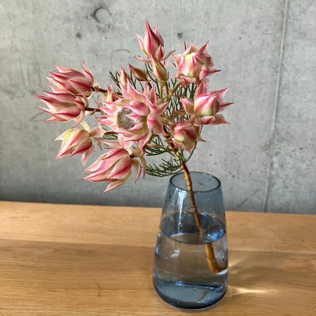 medeluのANYROOMコースのボリュームBasicのセルリアを青の透明ガラス花瓶に生けた様子