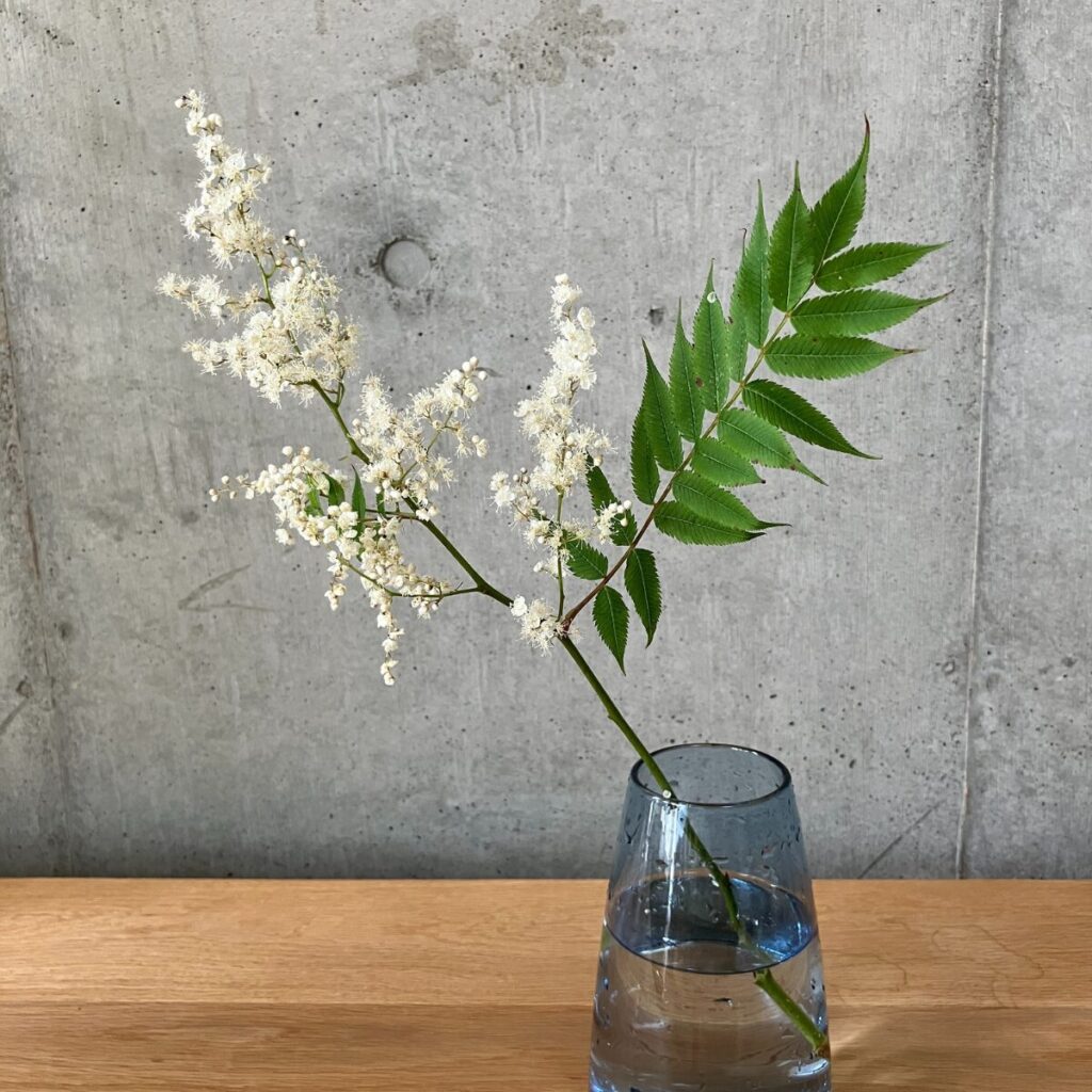 medeluのANYROOMコースのボリュームBasicのチンシバイを青の透明ガラス花瓶に生けた様子