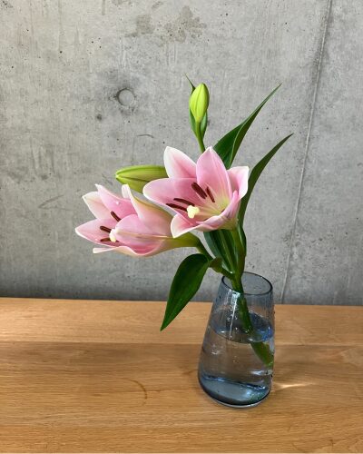 medeluのANYROOMコースのボリュームBasicのテッポウユリを青の透明ガラス花瓶に生けた様子