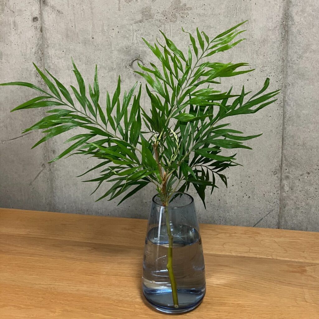 medeluのMODERNコースのボリュームBasicのグレベリア