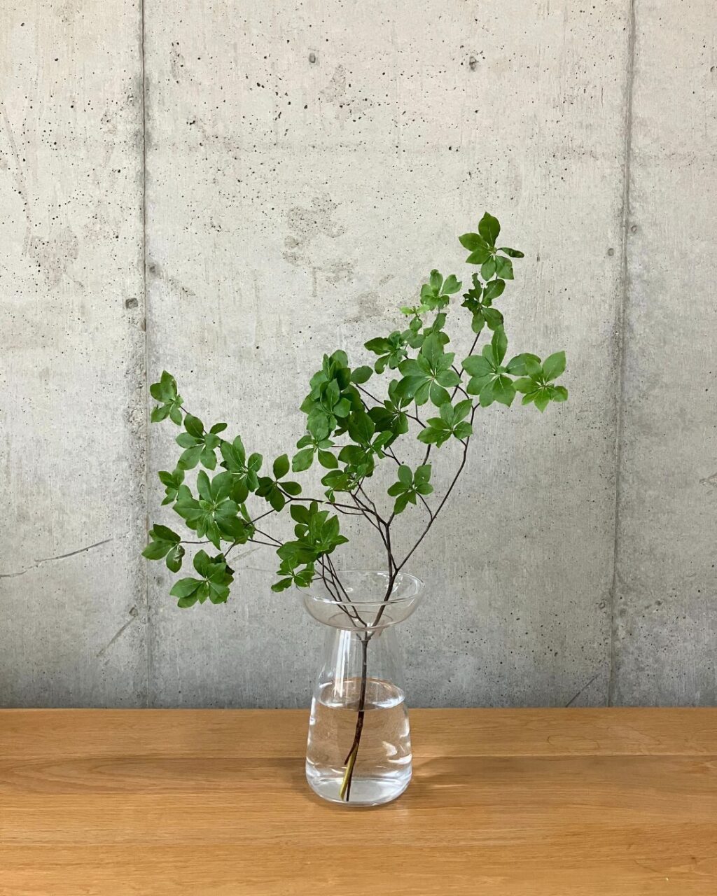 AQUA CULTURE VASEのサイズLのクリアに花のドウダンツツジを生けた様子