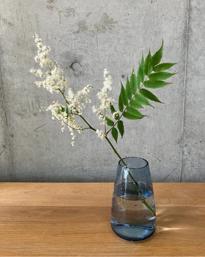 medeluのANYROOMコースのボリュームBasicのチンシバイを青の透明ガラス花瓶に生けた様子