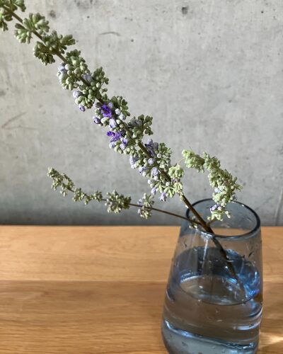 medeluのANYROOMコースのボリュームBasicのセイヨウニンジンボクを青の透明ガラス花瓶に生けた様子