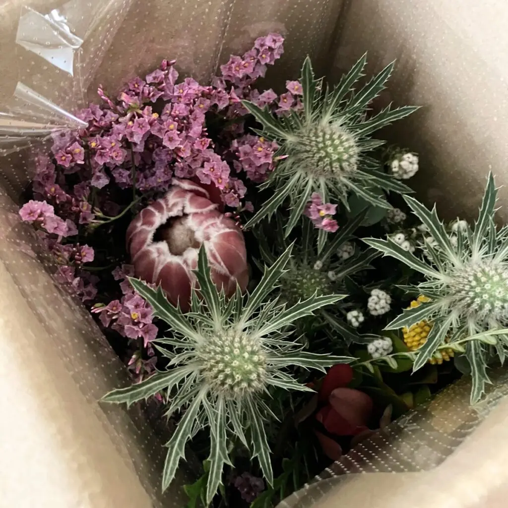 ワイルドフラワー・ネイティブフラワーが買える通販サイト3選｜夏の花