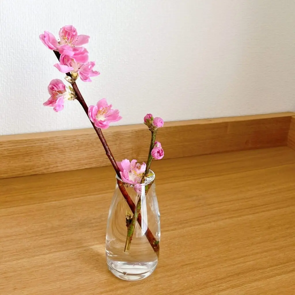 生けやすいガラス花瓶【小・中型】5種類を写真付きで紹介｜様々なお花