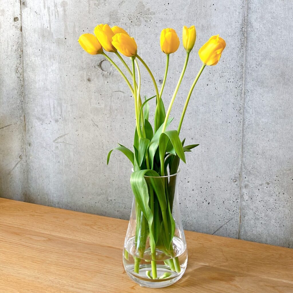 mazzoのクリアガラス花瓶に生けられたチューリップ