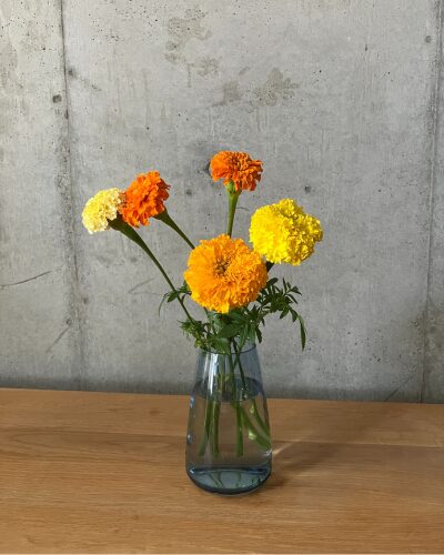 マリーゴールド5本を花瓶に生けた様子