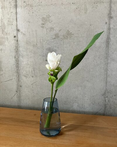 クルクマを花瓶に生けた様子