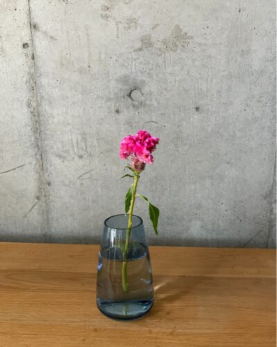 ケイトウを花瓶に生けた様子