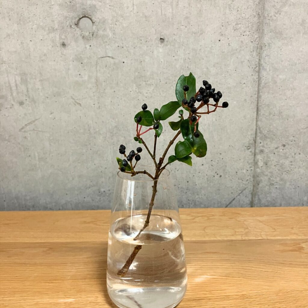 ティナスの実と葉が付いた枝を透明のガラス花瓶に生けた様子