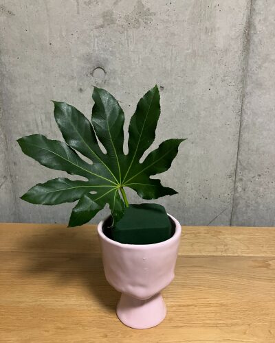 ピンクの花器にセットした吸水フォームにヤツデを挿した様子