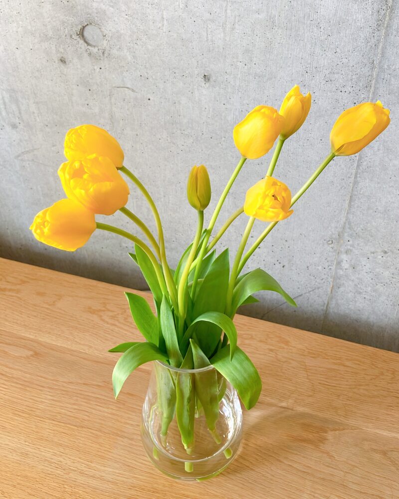 FLOWERから届いたチューリップをアップにした写真