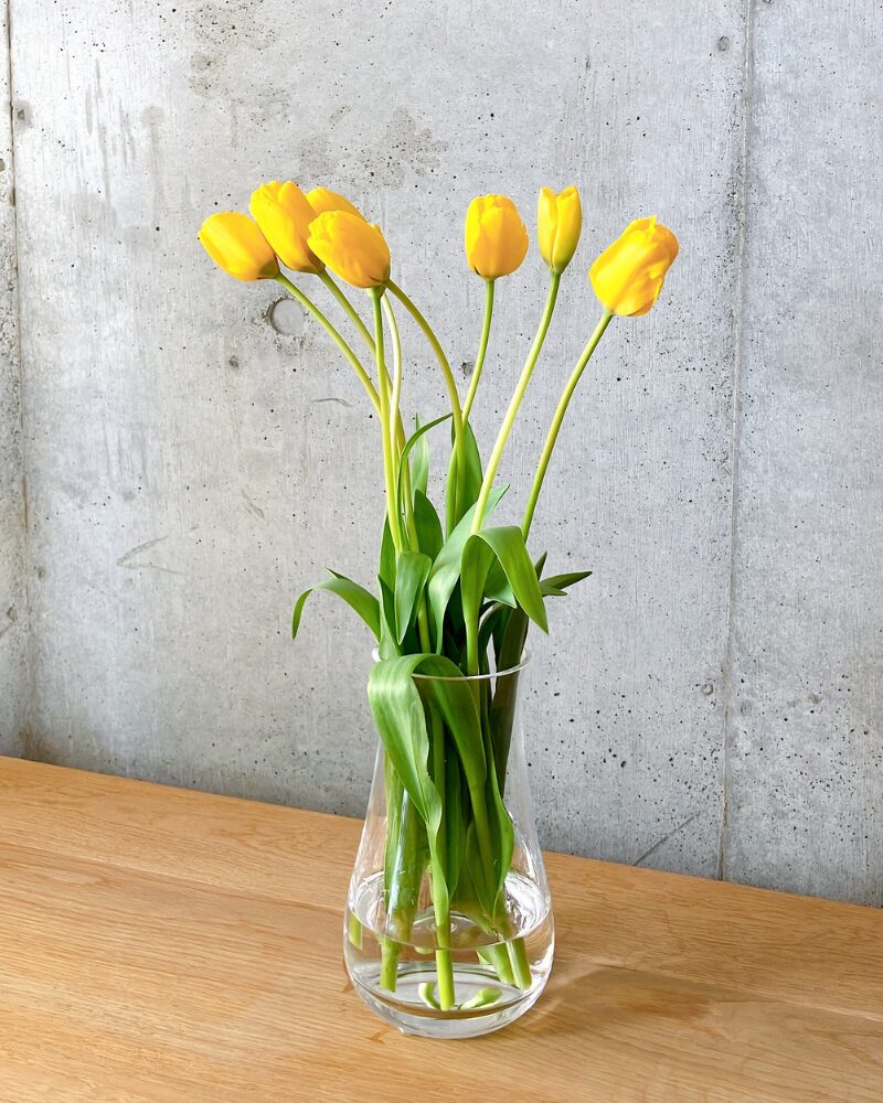 FLOWERで購入した花瓶にチューリップを生けた様子