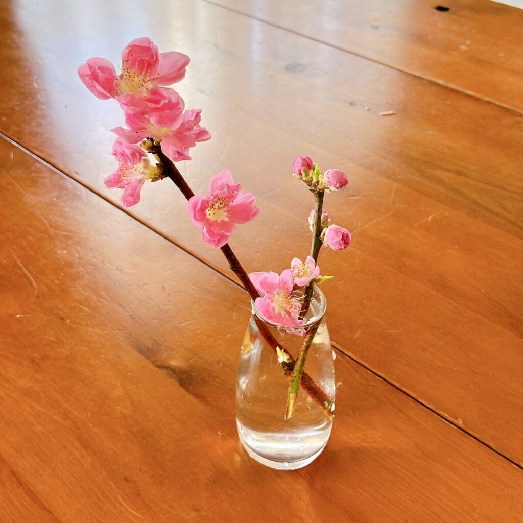 桃の枝を生けたガラス花瓶をテーブルにそのまま置いている様子
