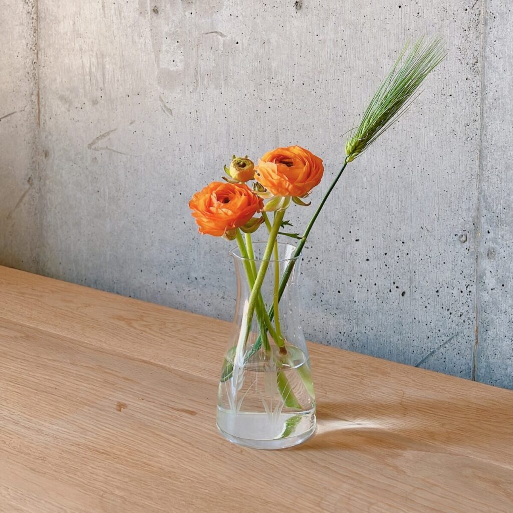 スーパーで購入したオレンジのラナンキュラスを花瓶に生けた様子