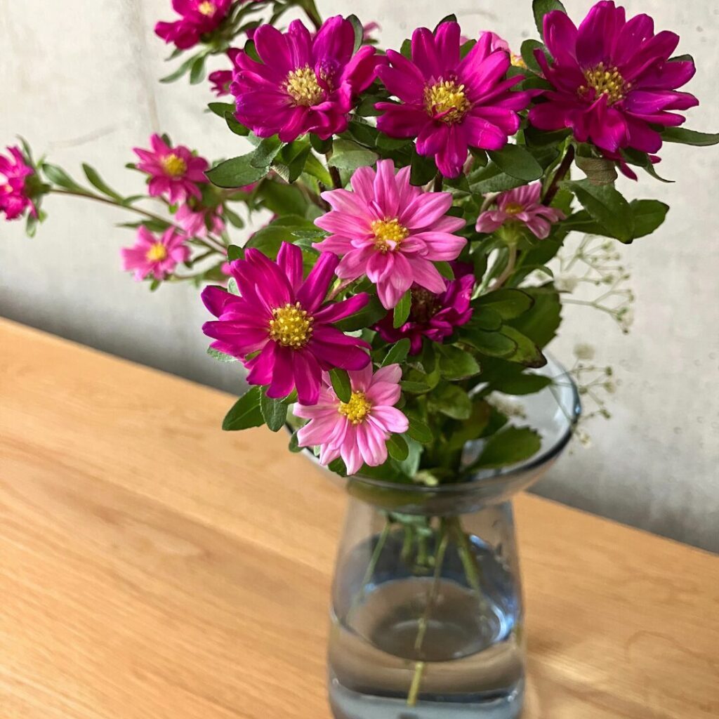 AQUA CULTURE VASEのサイズLのブルーにピンクのアスターを生けた様子