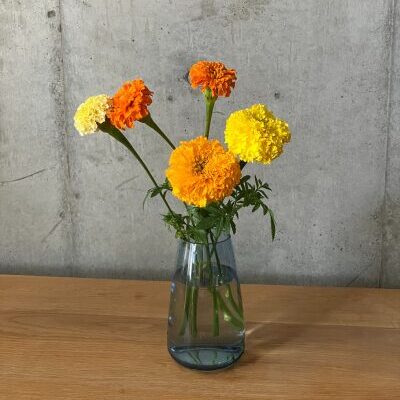 マリーゴールド5本を花瓶に生けた様子