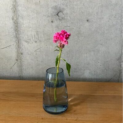 ケイトウを花瓶に生けた様子