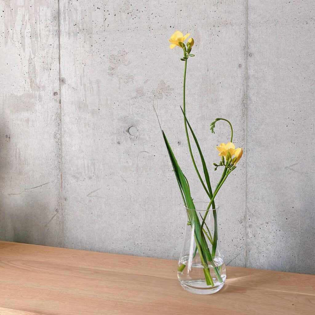 スーパーで購入した黄色のフリージアを花瓶に生けた様子