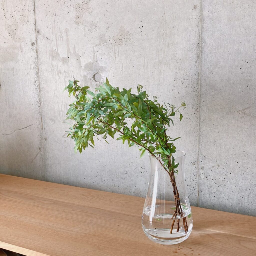 スーパーのコデマリを花瓶に生けた様子