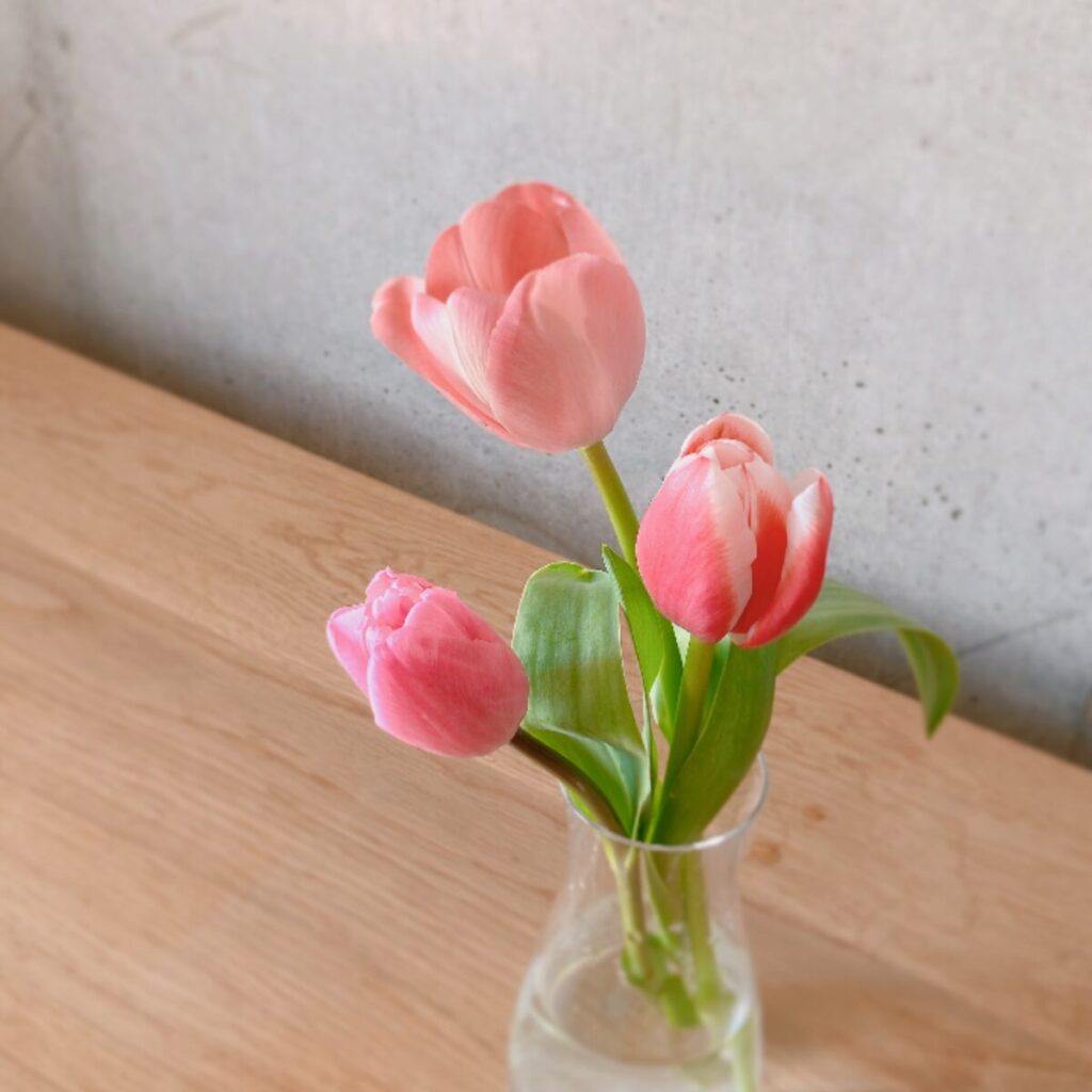 スーパーで購入したピンクのチューリップを花瓶に生けたアップの写真