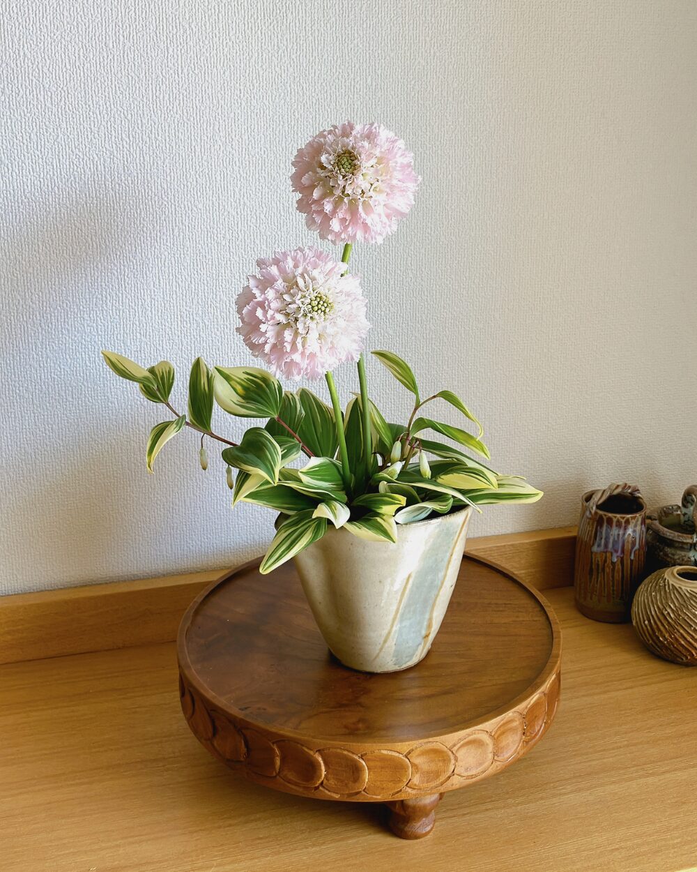 Minimalist pink Scabiosa arrangement in a Japanese soba-tsuyu pitcher.