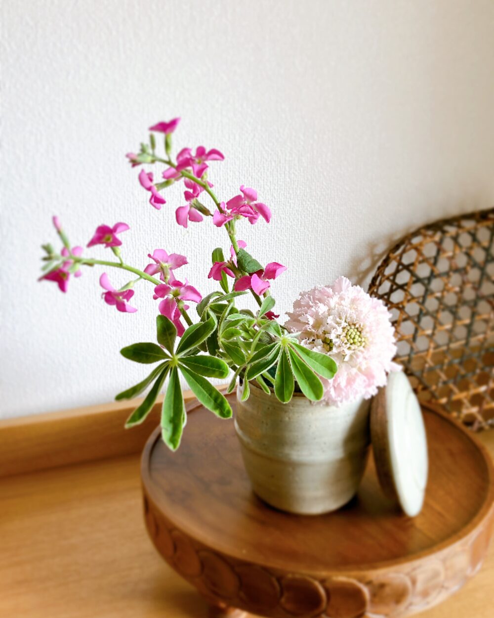 Pink Scabiosa and Stock with Lupinus leaves in a Mashiko-yaki jar.