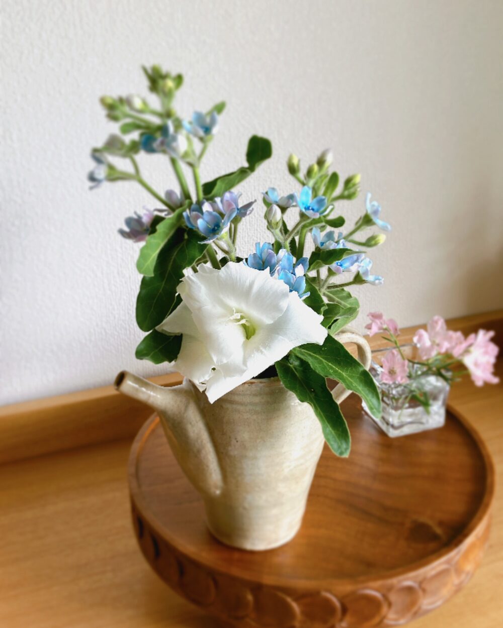 Minimal arrangement of a short white gladiolus and blue star in a pitcher